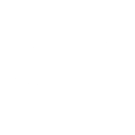 Avita Trans